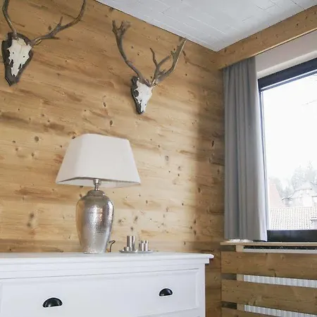 Apartment Strandberg's Harzchalet *