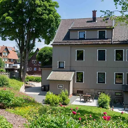 Strandberg's Harzchalet Apartment *
