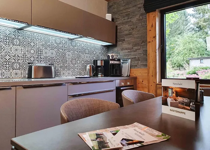 Strandberg's Harzchalet Daire