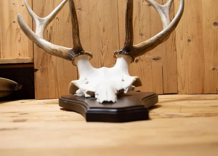 Strandberg's Harzchalet Daire