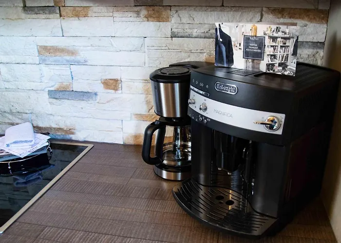 Strandberg's Harzchalet Daire *