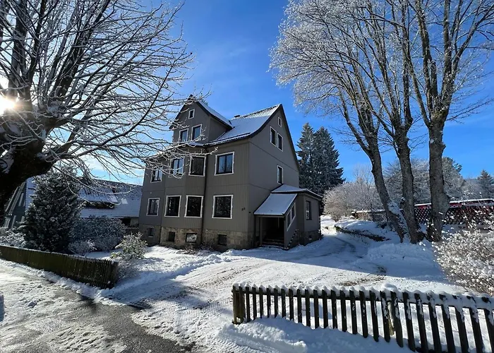 Strandberg's Harzchalet Daire *