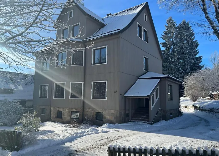 Daire Strandberg's Harzchalet Braunlage