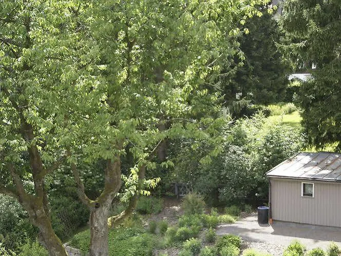 Daire Strandberg's Harzchalet