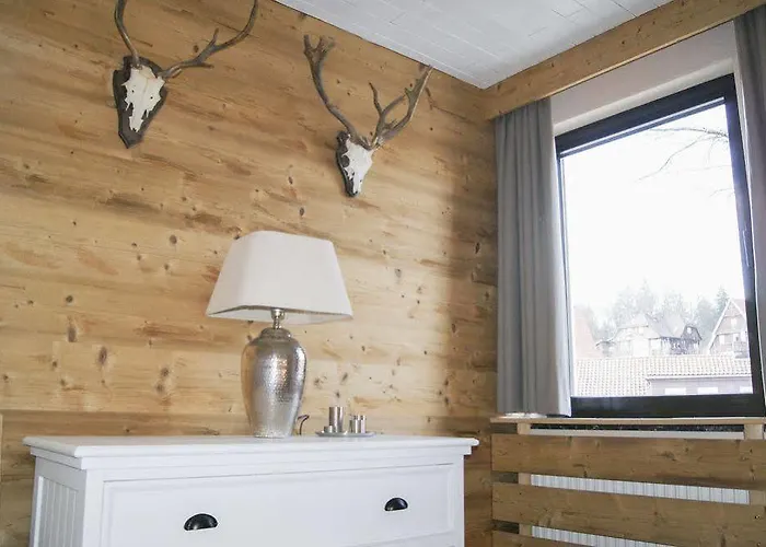 Daire Strandberg's Harzchalet *