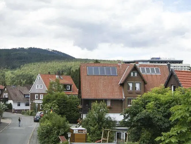 Daire Strandberg's Harzchalet *